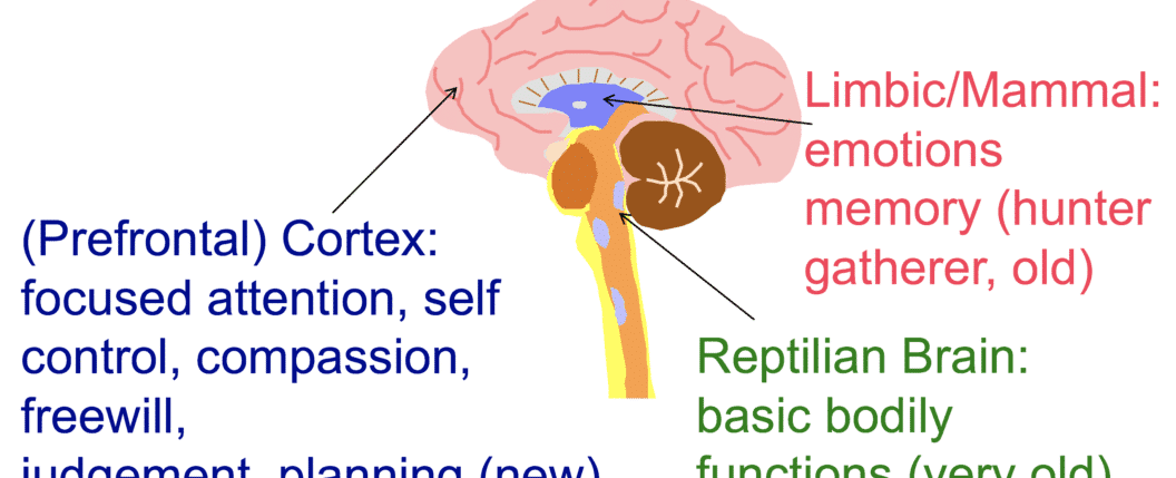 The reward centers of our brains light up more when we re talking about ourselves than when we re talking about other people we are basically our favorite subject