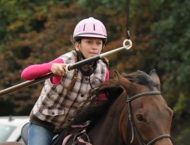 The state sport of maryland is jousting