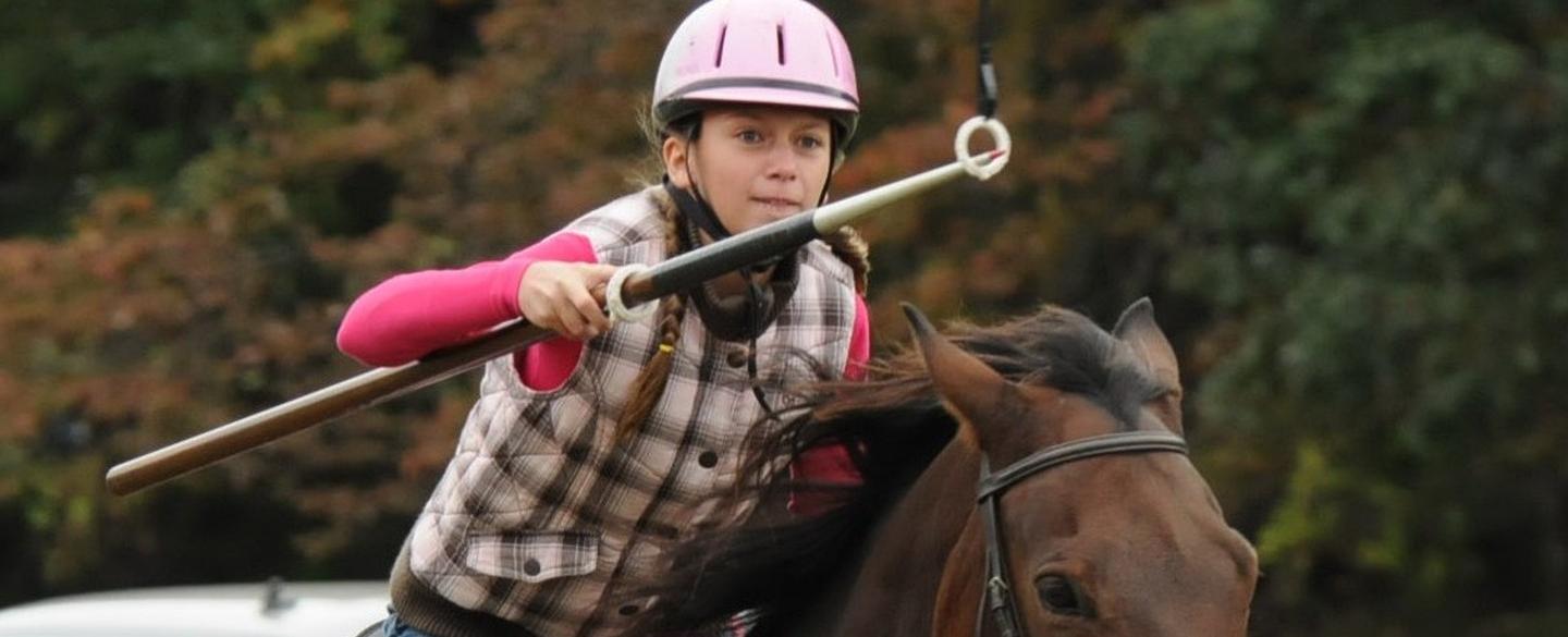 The state sport of maryland is jousting