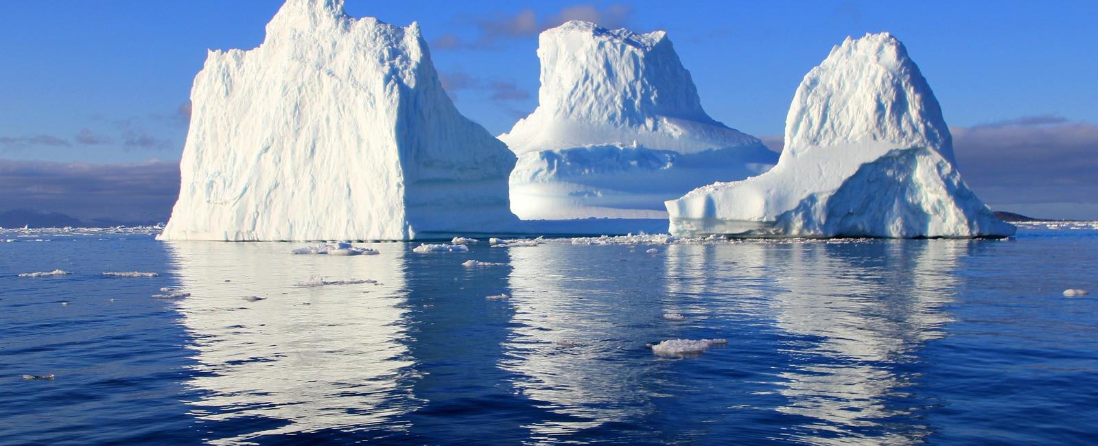 Icebergs can come in a rainbow of colors not just white the most commonly seen in cold oceans its color depends on how light interacts with the iceberg and its purity