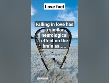 Falling in love affects intellectual areas of the brain and triggers the same sensation of euphoria experienced by people when they take cocaine