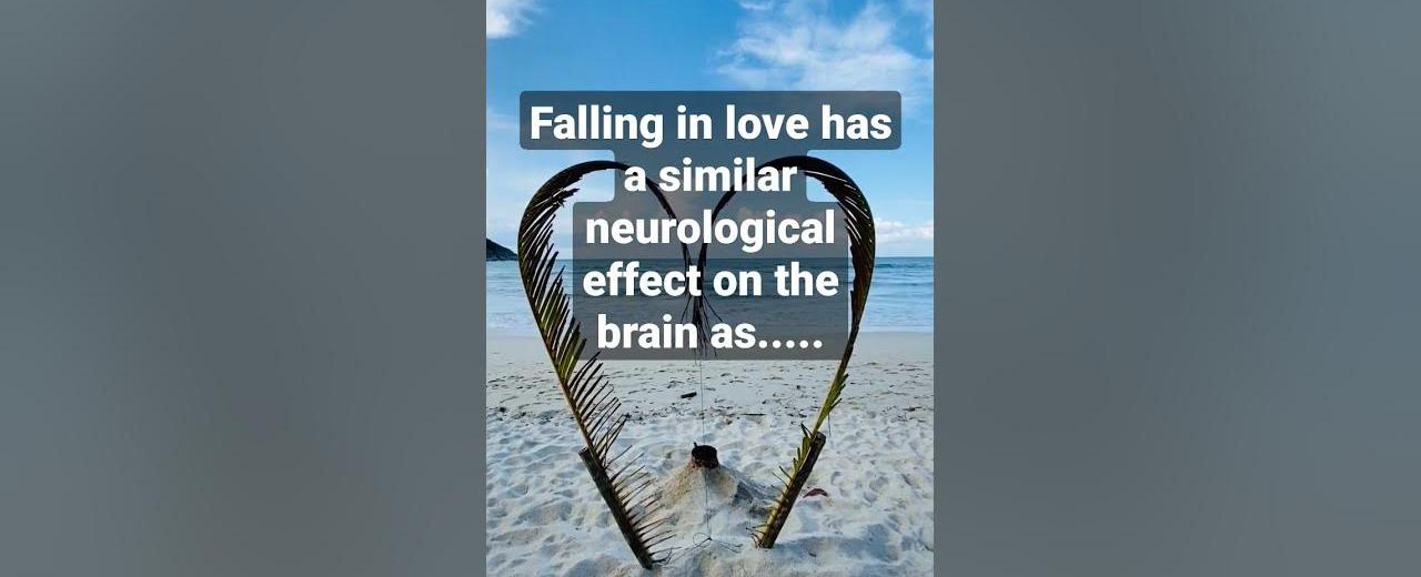 Falling in love affects intellectual areas of the brain and triggers the same sensation of euphoria experienced by people when they take cocaine