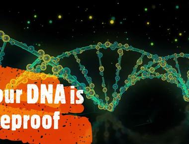 Dna is fireproof