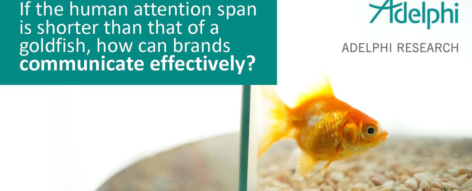 Humans now have a shorter attention span than a goldfish studies have found that the average person s attention span lapses at 8 seconds while a goldfish lasts 9