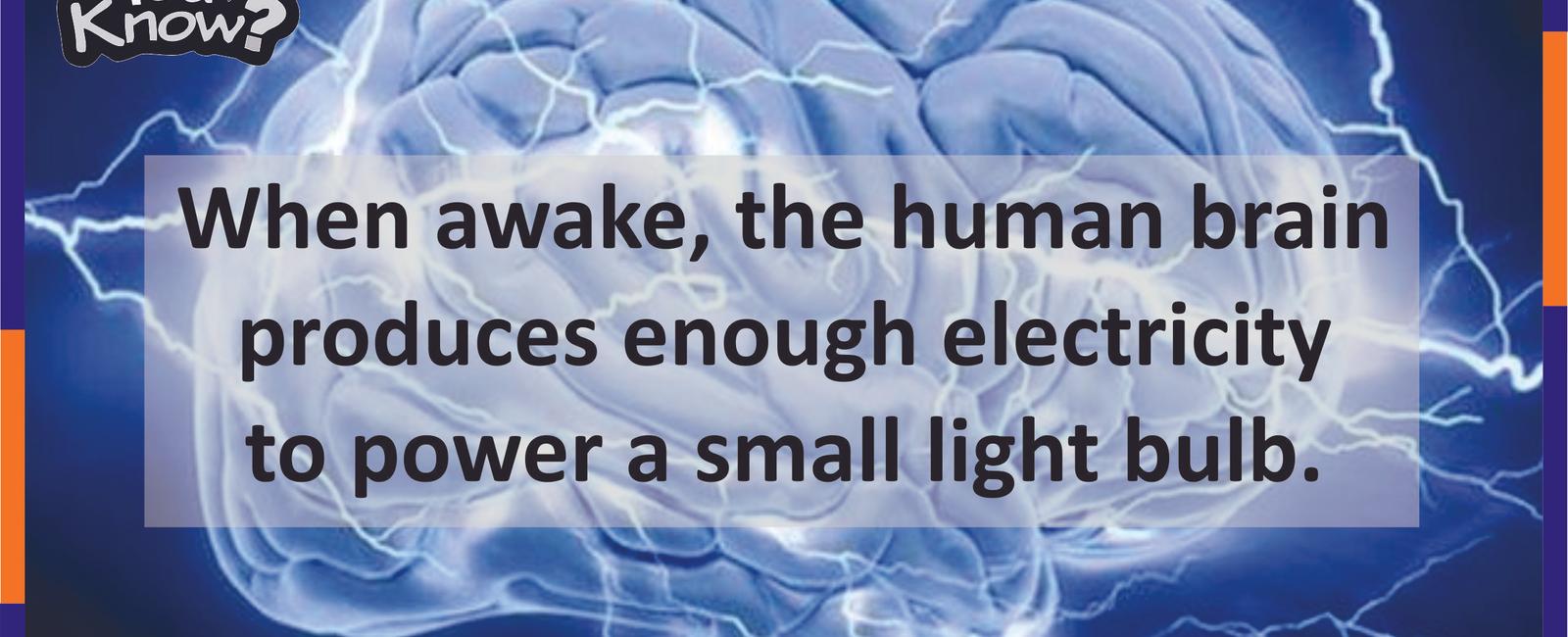 Your brain generates enough electricity to power a lightbulb