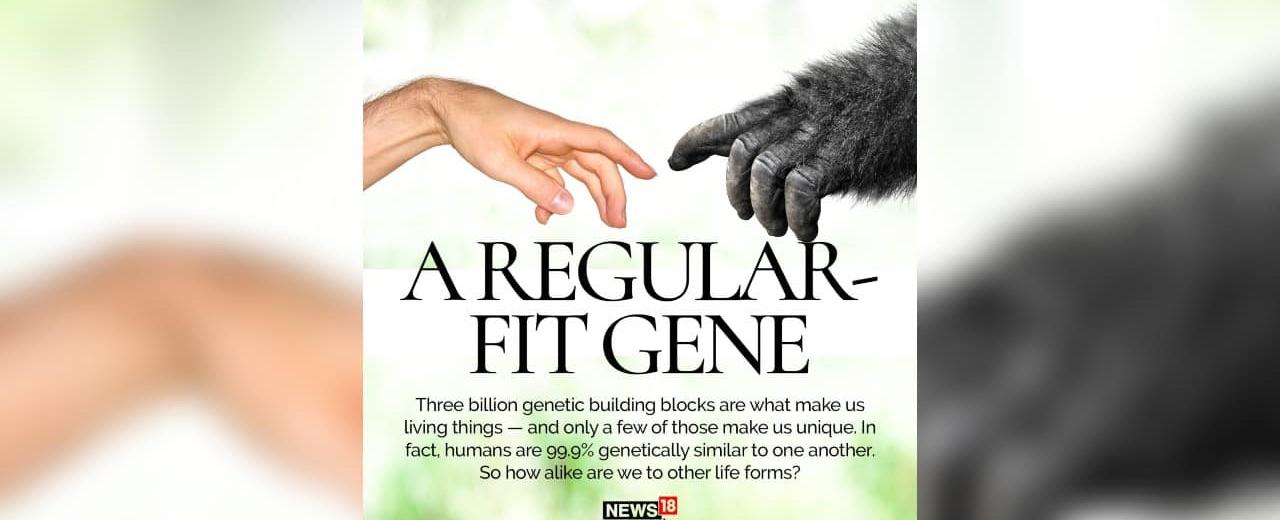 Genetically speaking modern humans are 99 9 similar to one another we re also 75 similar to chickens