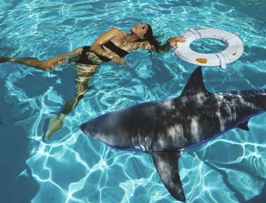 A shark can see through in the cloudy water because of its particular membrane present in its eye called tapetum lucidum this feature helps a shark to prey in murky water