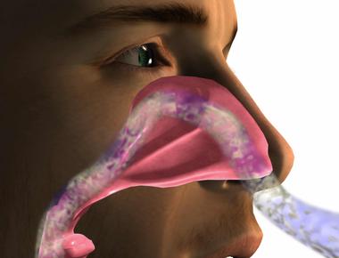 Air travels through the nose at a speed of 100 miles per hour when a person sneezes