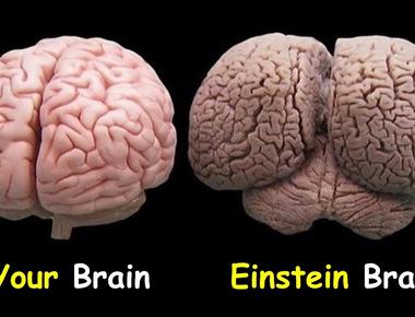 Canadian researchers have found that einstein s brain was 15 wider than normal