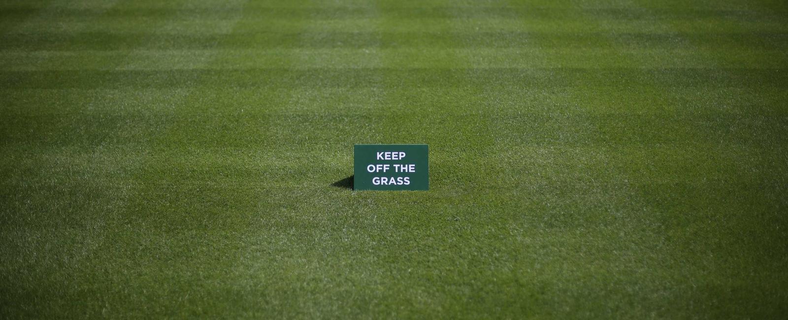 The grass at wimbledon was kept two inches long until 1949 when an english player was bitten by a snake