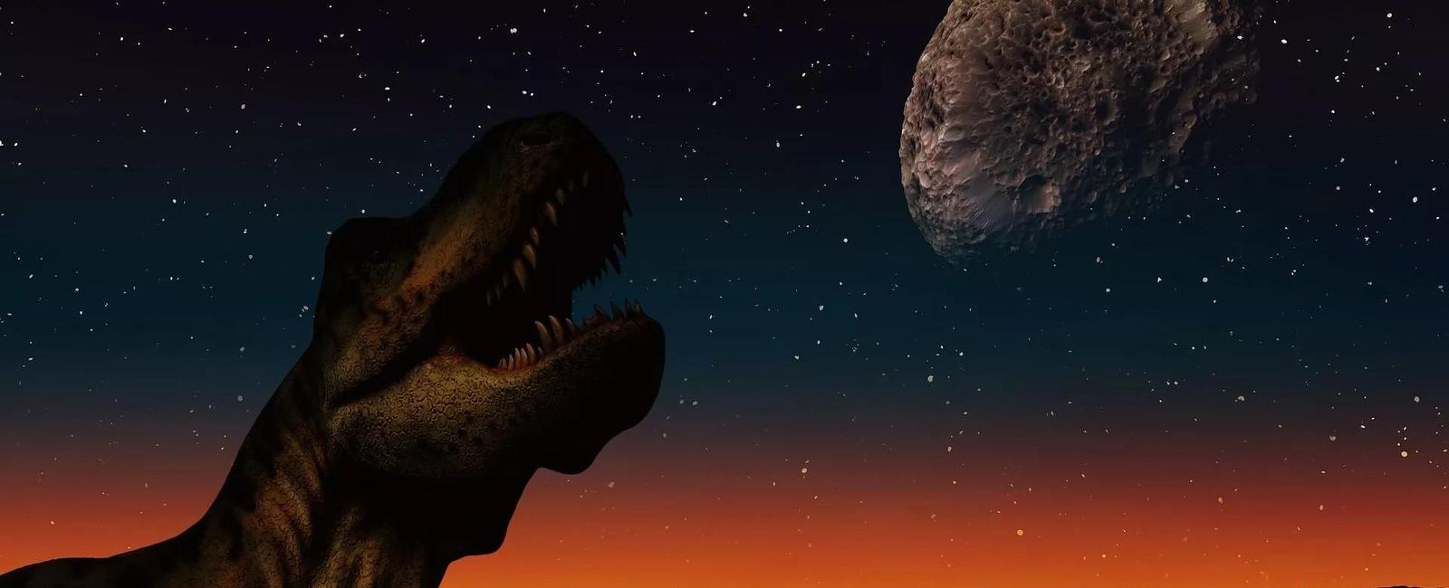 Many scientists believe that an asteroid impact caused the extinction of the dinosaurs around 65 million years ago