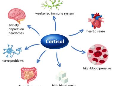 It s never been proven that love makes you physically sick though it does raise levels of cortisol a stress hormone that has been shown to suppress immune function