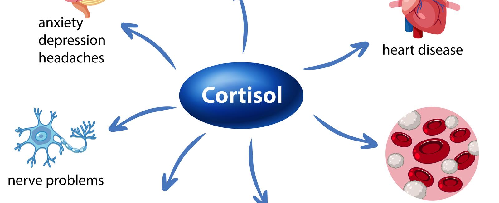 It s never been proven that love makes you physically sick though it does raise levels of cortisol a stress hormone that has been shown to suppress immune function