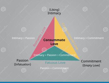 The triangular theory of love posits that love is based on three components intimacy passion and commitment the components are separable but interactive and all are required within a relationship