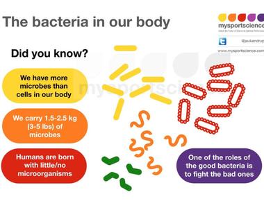 You carry on average about four pounds of bacteria around in your body