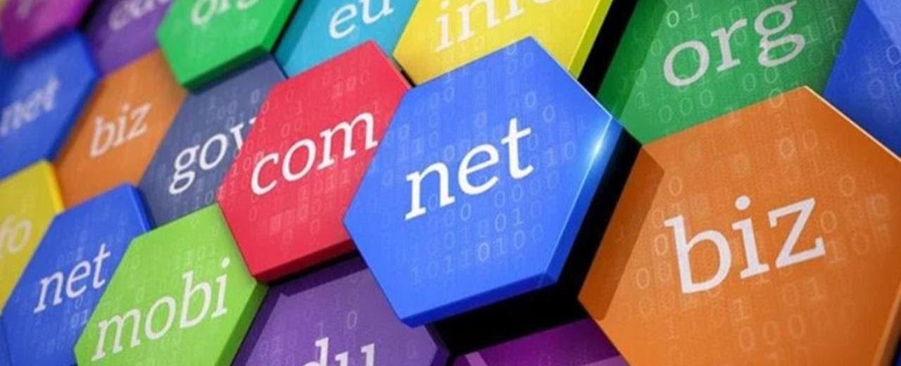 Domain name registrations were free till 1995