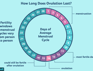 Ovulation heats up a woman s body by as much as half a degree fahrenheit