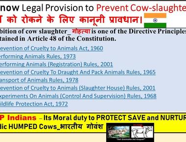 India has a bill of rights for cows