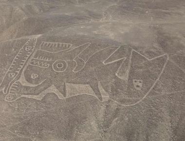 Huge cat found etched into desert among nazca lines in peru