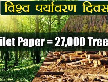 27 000 trees are cut down each day so we can have toilet paper