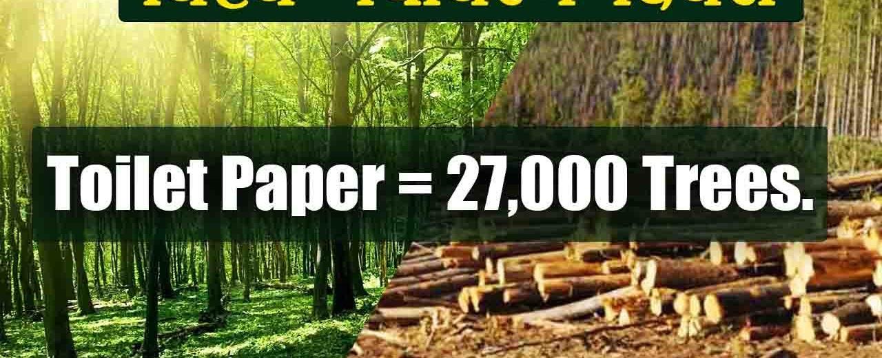 27 000 trees are cut down each day so we can have toilet paper