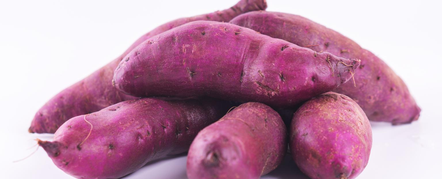 The sweet potato is one of the most valuable crops in the world providing more nutrients per farm acre than any other staple