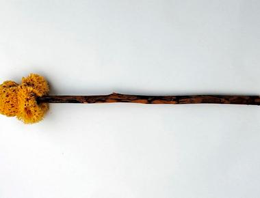 Ancient romans used a sponge on a stick to clean themselves after pooping and shared it with everyone