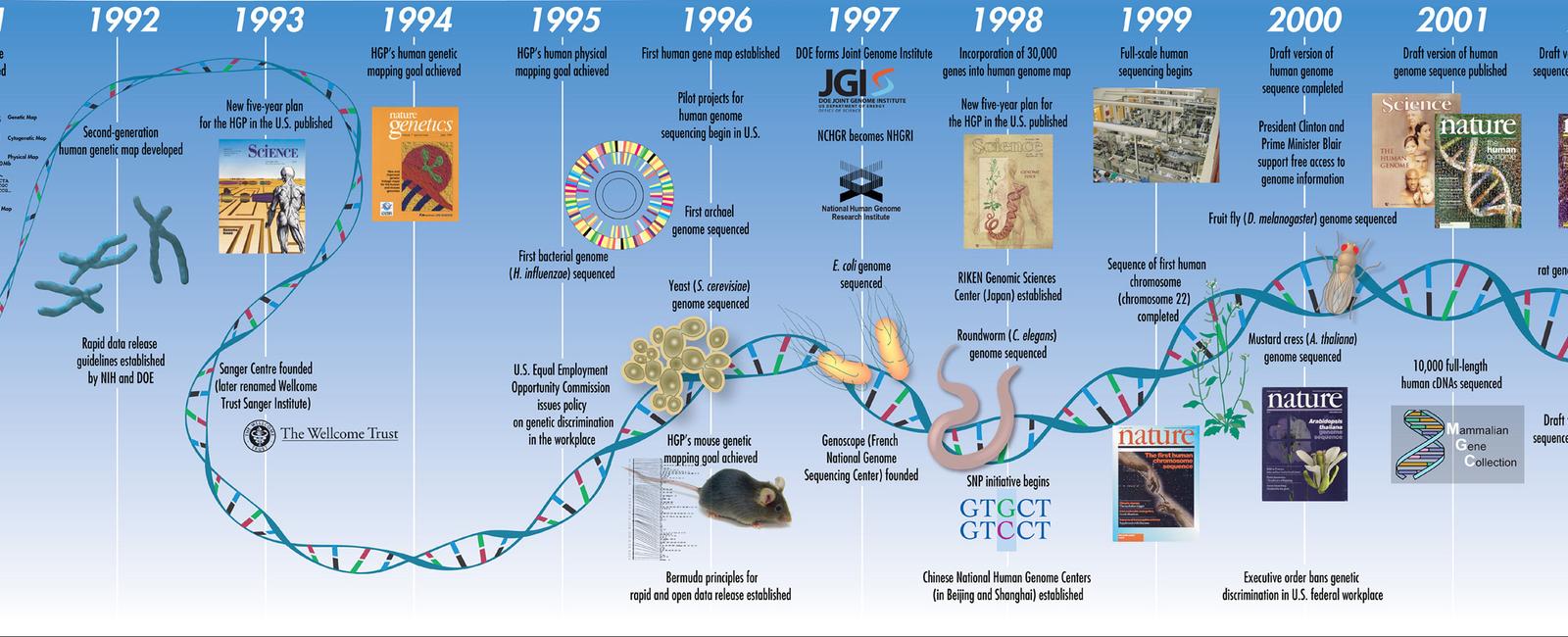 Scientists predict that there are over three billion base pairs of dna in human genes and over 25 000 genes in the human genome