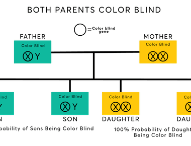 Men are more likely to be colourblind than women