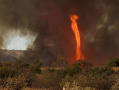 Fire whirls are tornadoes made of fire caused by wildfires