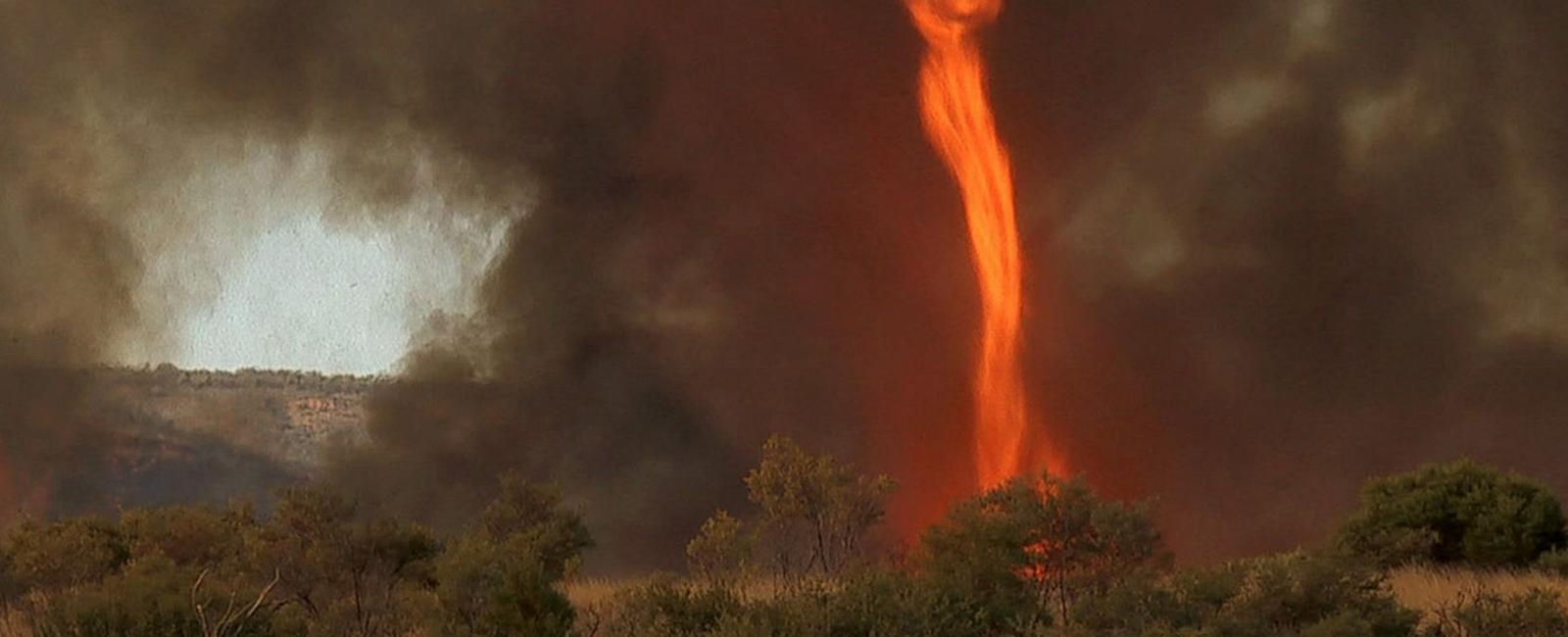 Fire whirls are tornadoes made of fire caused by wildfires