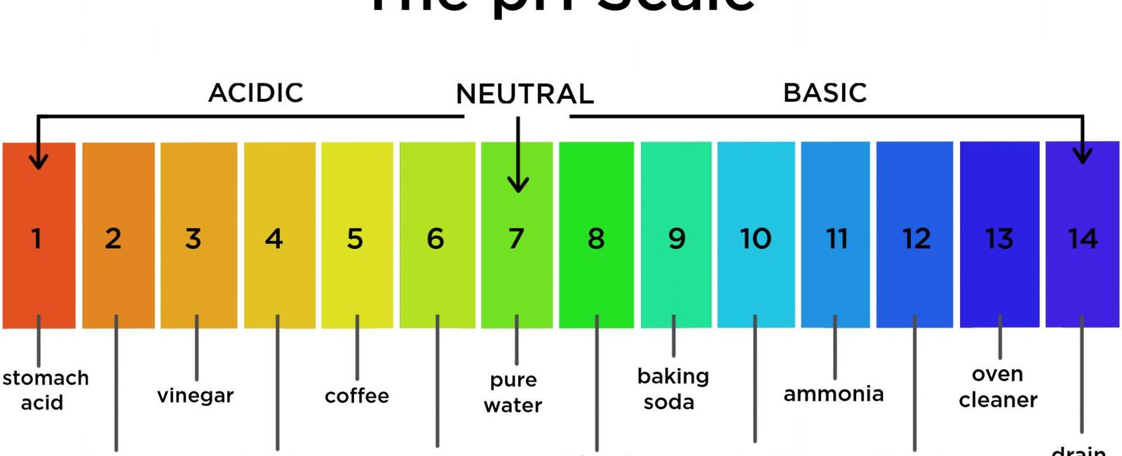 Between ph 1 to 2 your stomach acid is highly acidic only a point lower than battery acid at ph 0 it is so it can break down foods for better digestion and nutrient absorption however it can damage bones and teeth too