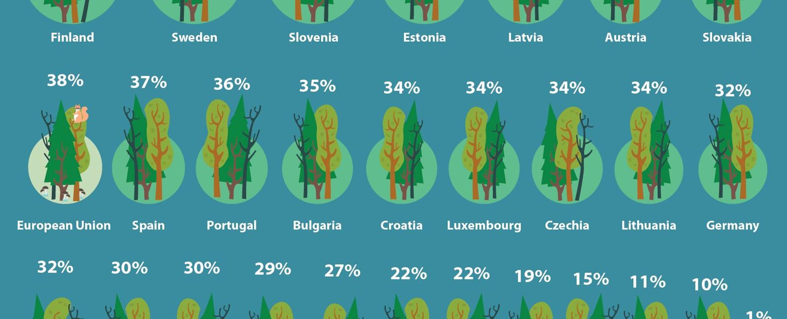 Forests comprise about 31 of the earth s total land area meanwhile more than 80 of terrestrial animals and plants call forests home