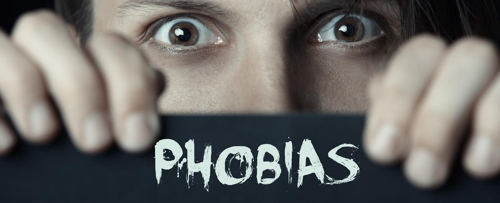 Phobophobia is the fear of having phobias