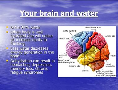 Your brain is about 75 80 per cent water