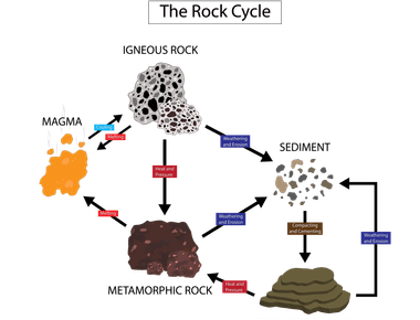 Metamorphic rocks are formed by extreme pressure and heat read more about metamorphic igneous and sedimentary rocks find information on rocks and minerals