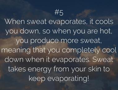 A hard working adult sweats up to 4 gallons per day most of the sweat evaporates before a person realizes it s there