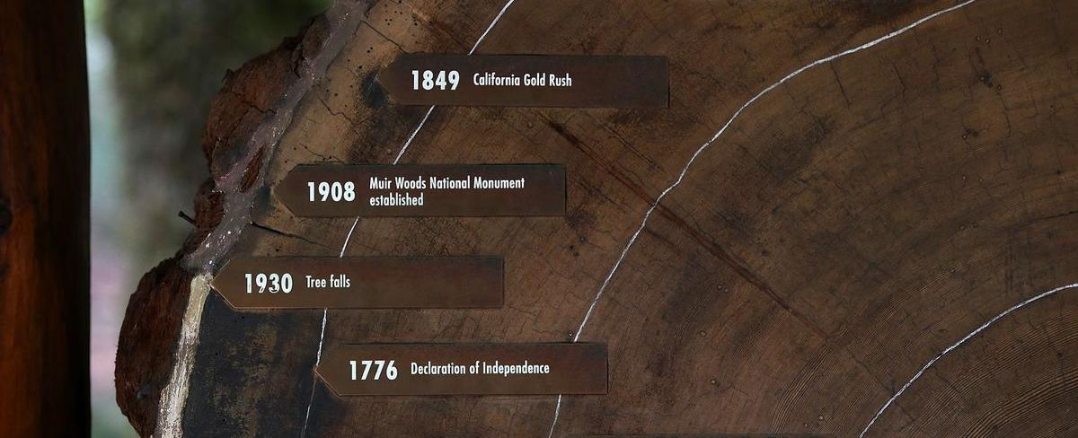 Since tree rings provide a snapshot of the earth s climate history scientists can use them to tell its age and changes in the climate including volcanic eruptions droughts and other natural disasters