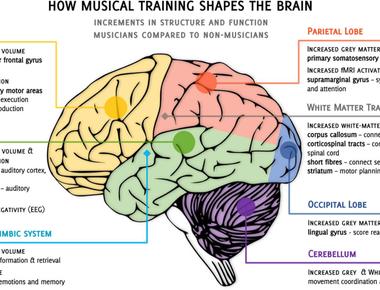 We will always always find a problem it turns out that a quirk in the way human brains process information means that when something becomes rare we sometimes see it in more places than ever