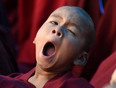 The definitive biological function of yawning is still unknown