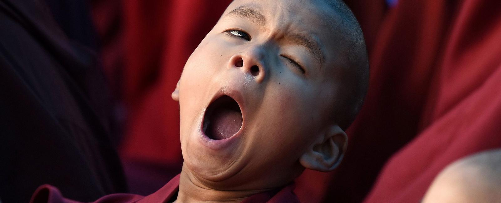 The definitive biological function of yawning is still unknown