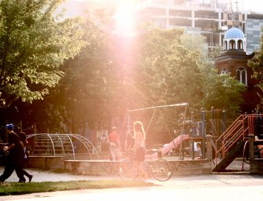 It s illegal to climb trees in toronto in 2013 someone was fined 365 for climbing a tree in bellevue square park