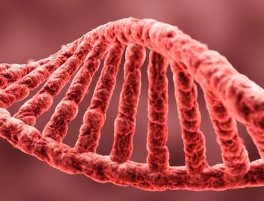 Phobias may be memories passed down through generations in dna according to a new research