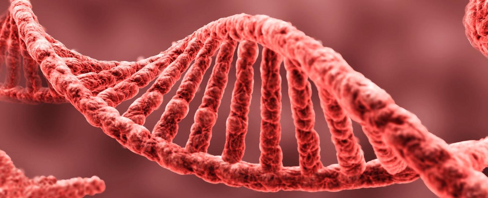 Phobias may be memories passed down through generations in dna according to a new research