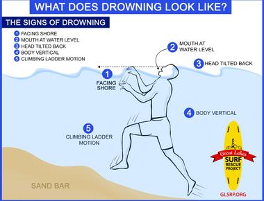 Humans have a diving reflex that shuts down bodily functions when submerged in water to prevent drowning
