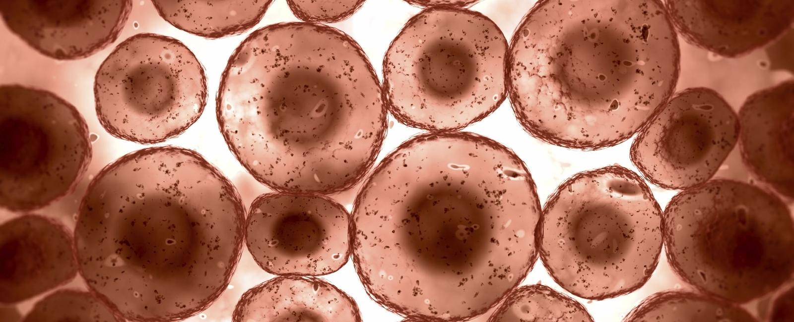 Every square inch of the human body has about 19 million skin cells