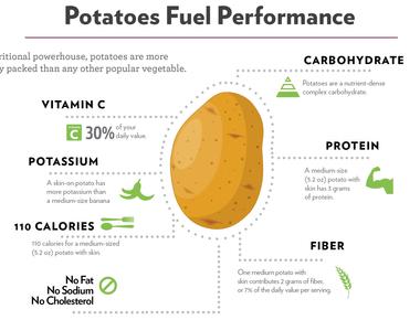 Most of the nutrients in a potato reside just below the skin layer