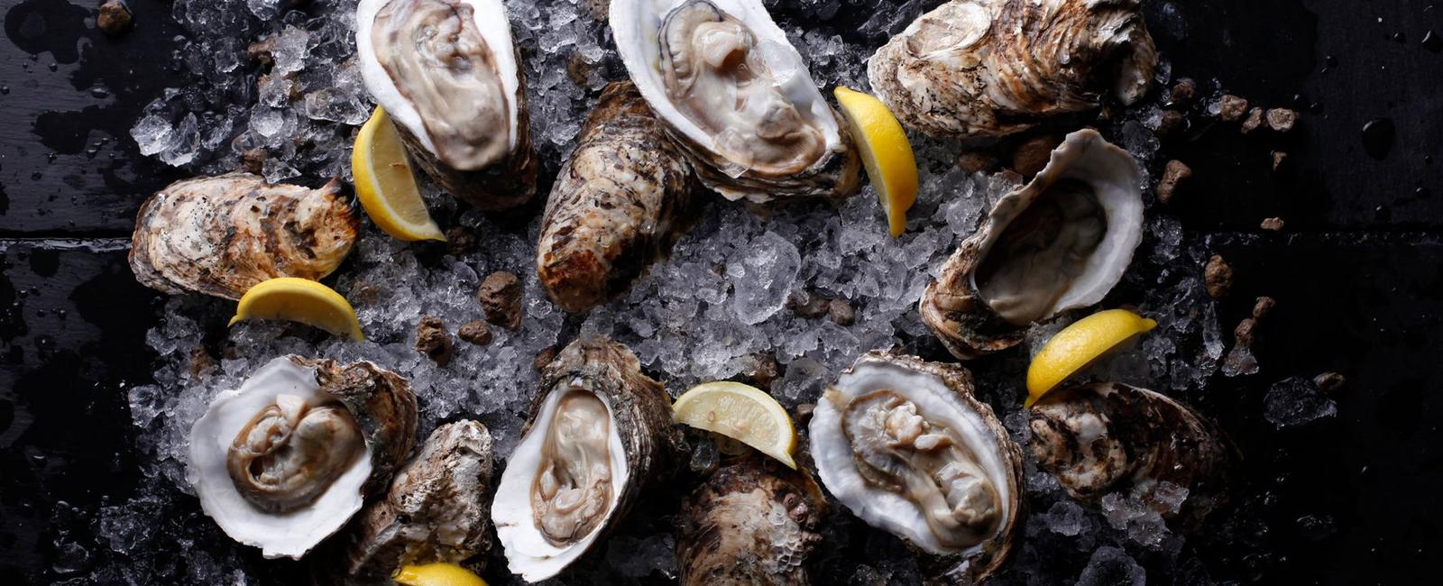 A raw oyster is still likely alive when you eat it