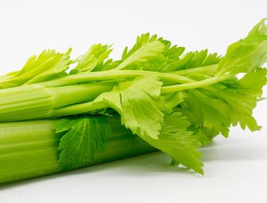 Chewing celery makes men more attractive to women it activates sex pheromones in men s sweat that send the correct scents and signals making them immediately irresistible