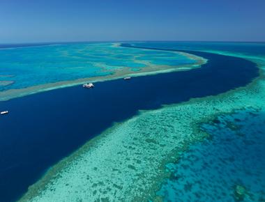 If you fly over the great barrier reef you can see one of its reefs is shaped like a heart